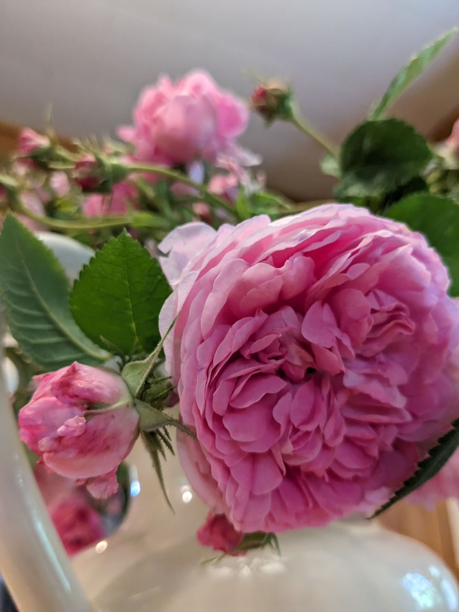 Rain Roses – Stone House Scribblings