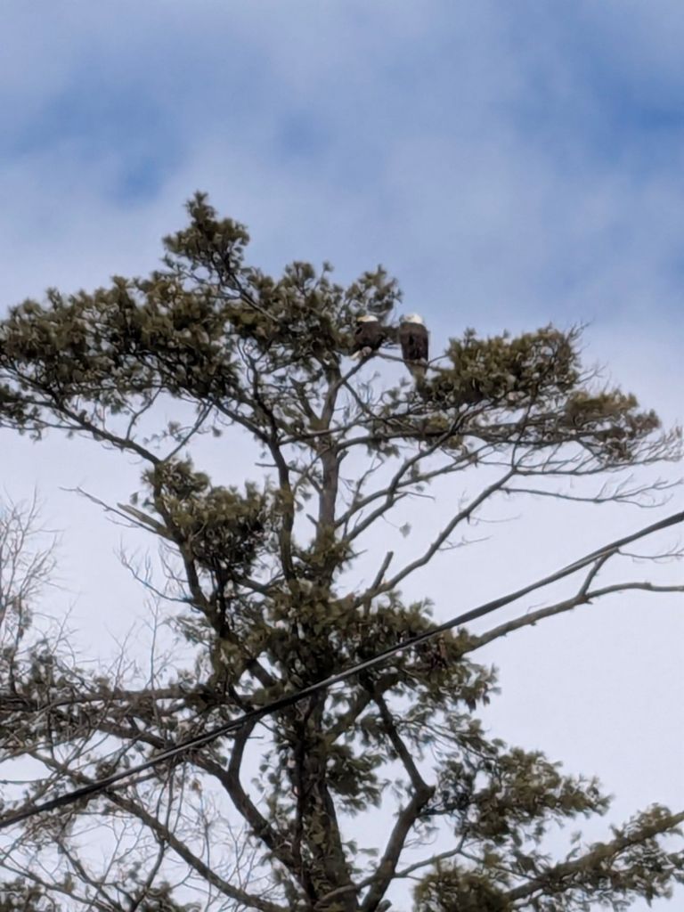 pxl_20260221_1815069663427082330766587223